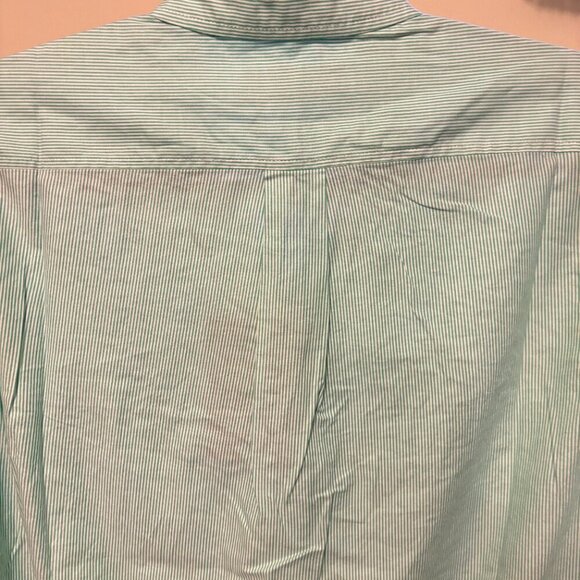 Everlane Silky Cotton Button Down Long Sleeve Shirt Mint Green White Str… - Picture 8 of 9